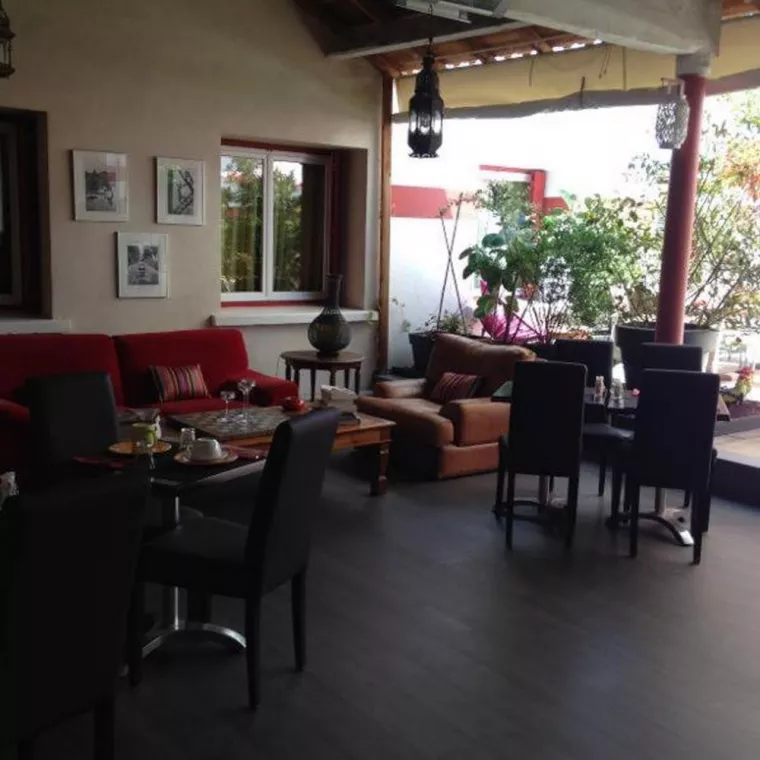 Organiser une réunion d'équipe dans un patio calme et ombragé d'un hôtel, Nîmes, Hôtel Côté Patio